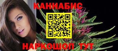 стаф Пенза