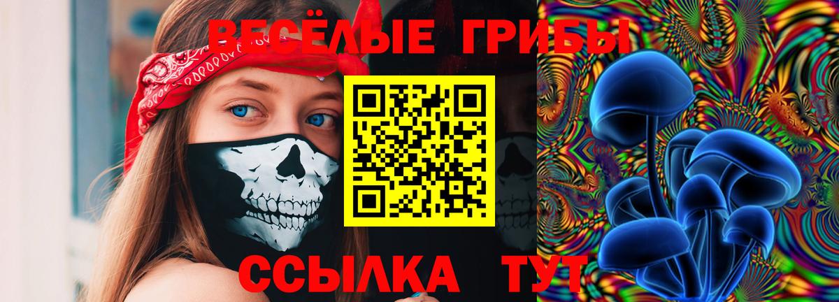 Сухой Лог  Псилоцибиновые грибы Psilocybine cubensis  Вход с VPN 