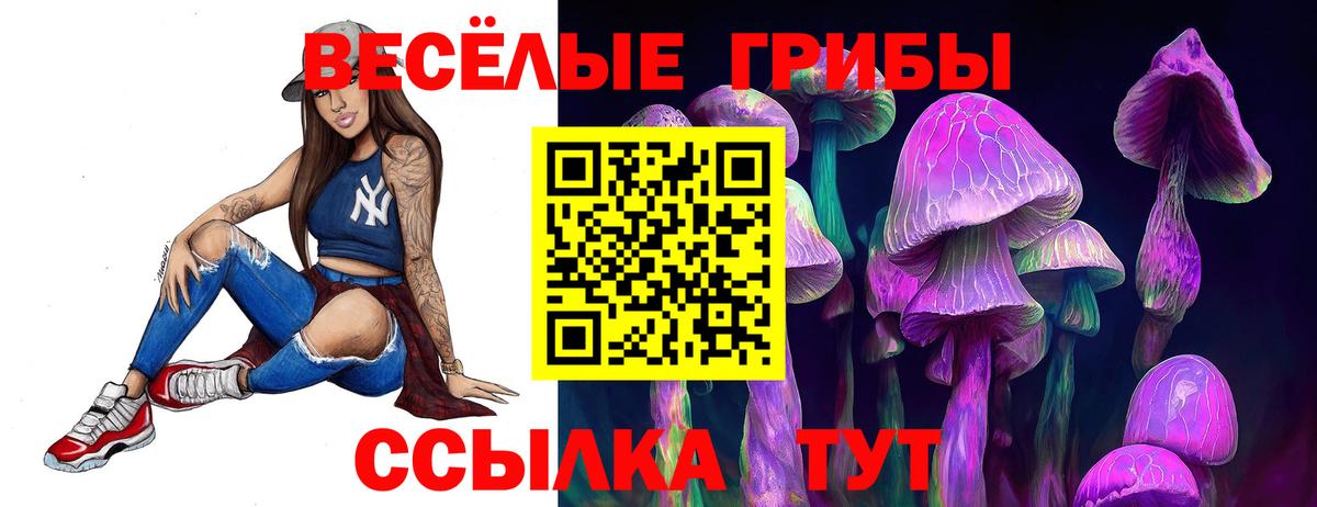 Галлюциногенные грибы GOLDEN TEACHER Сухой Лог